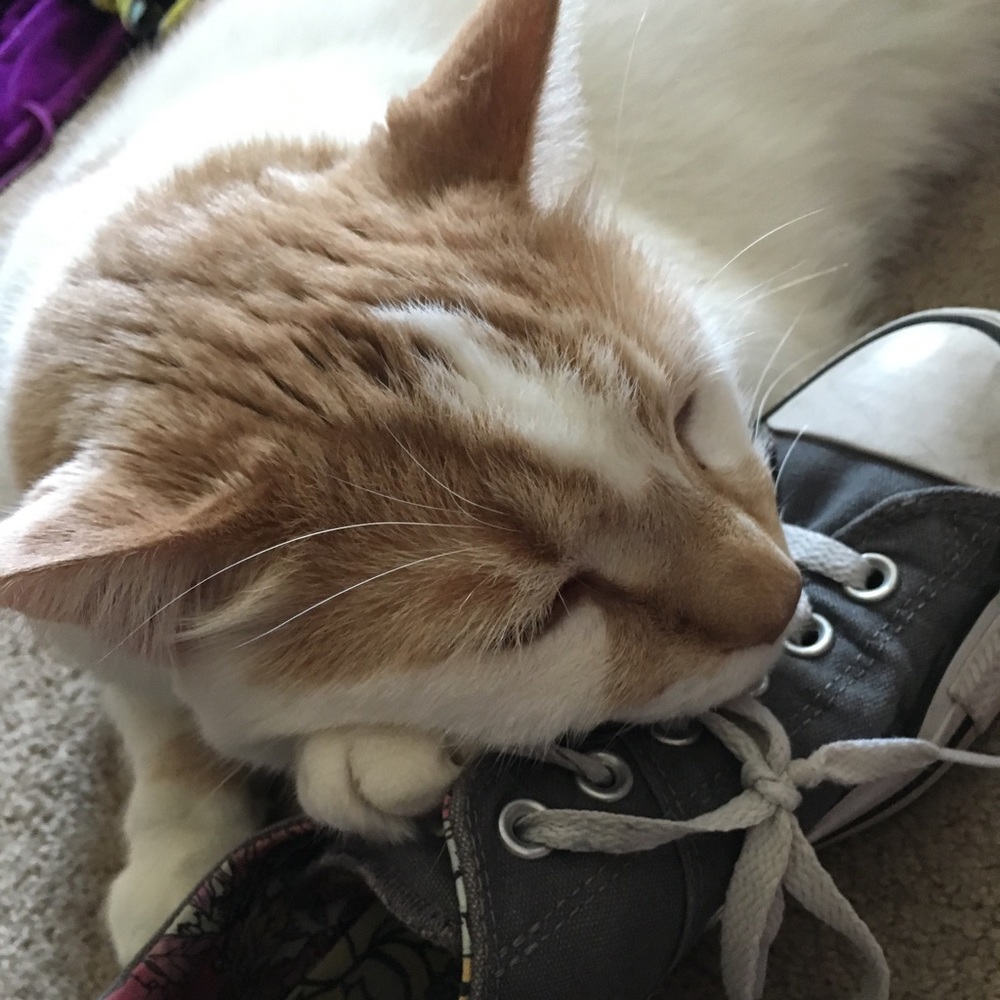 Meet your Posher, Jen